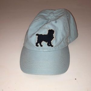 The Stray Dog Blue Hat